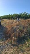 Terreno R�stico T0 - Ferreira do Alentejo, Ferreira do Alentejo, Beja - Miniatura: 5/5