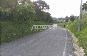 Terreno R�stico T0 - Carregueiros, Tomar, Santar�m - Miniatura: 1/11