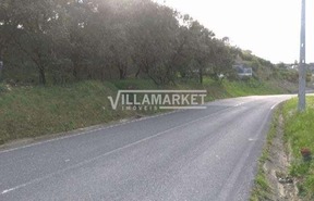 Terreno R�stico T0 - Carregueiros, Tomar, Santar�m - Miniatura: 2/11