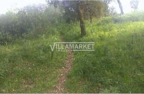 Terreno R�stico T0 - Carregueiros, Tomar, Santar�m - Miniatura: 5/11