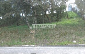 Terreno R�stico T0 - Carregueiros, Tomar, Santar�m - Miniatura: 6/11