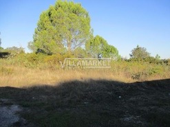 Terreno R�stico T0 - Carregueiros, Tomar, Santar�m - Miniatura: 10/11