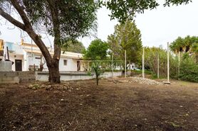 Quinta T3 - Boliqueime, Loul�, Faro (Algarve) - Miniatura: 5/44