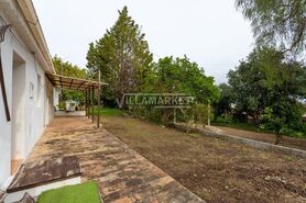 Quinta T3 - Boliqueime, Loul�, Faro (Algarve) - Miniatura: 26/44