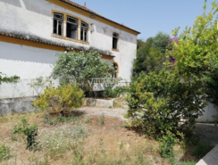 Quinta - Mouriscas, Abrantes, Santarm - Miniatura: 18/24