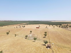 Terreno Rústico T0 - Aljustrel, Aljustrel, Beja - Miniatura: 20/22