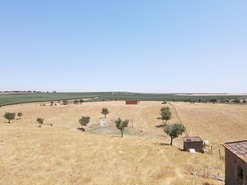 Terreno Rústico T0 - Aljustrel, Aljustrel, Beja - Miniatura: 21/22