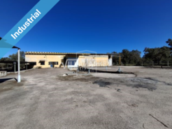 Armazm T0 - Parreira e Chouto, Chamusca, Santarm