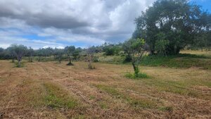 Ruina T0 - Quelfes, Olho, Faro (Algarve) - Miniatura: 20/26