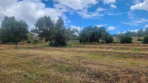 Ruina T0 - Quelfes, Olho, Faro (Algarve) - Miniatura: 21/26