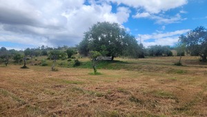 Ruina T0 - Quelfes, Olho, Faro (Algarve) - Miniatura: 24/26