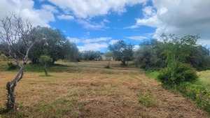 Ruina T0 - Quelfes, Olho, Faro (Algarve) - Miniatura: 25/26