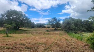 Ruina T0 - Quelfes, Olho, Faro (Algarve) - Miniatura: 26/26