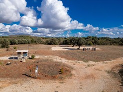 Terreno Rstico T0 - No Definido, No Definido, No Definido - Miniatura: 11/35