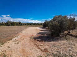 Terreno Rstico T0 - No Definido, No Definido, No Definido - Miniatura: 12/35