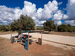 Terreno Rstico T0 - No Definido, No Definido, No Definido - Miniatura: 14/35