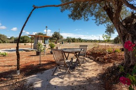 Terreno Rstico T0 - No Definido, No Definido, No Definido - Miniatura: 25/35