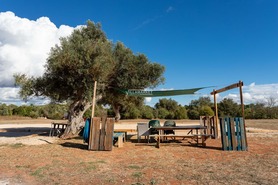 Terreno Rstico T0 - No Definido, No Definido, No Definido - Miniatura: 34/35