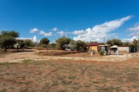 Terreno Rstico T0 - No Definido, No Definido, No Definido - Miniatura: 35/35