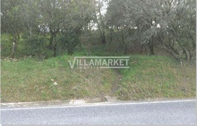 Terreno Rstico T0 - Carregueiros, Tomar, Santarm - Miniatura: 8/11