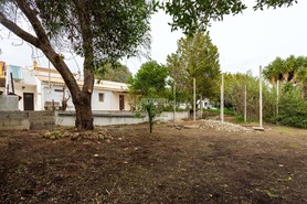 Quinta T3 - Boliqueime, Loul�, Faro (Algarve) - Miniatura: 4/44