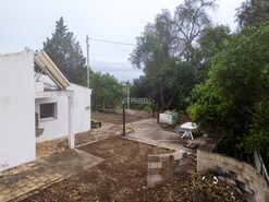 Quinta T3 - Boliqueime, Loul�, Faro (Algarve) - Miniatura: 17/44