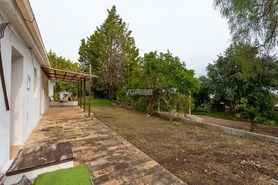 Quinta T3 - Boliqueime, Loul�, Faro (Algarve) - Miniatura: 26/44