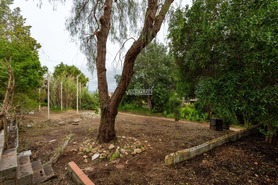 Quinta T3 - Boliqueime, Loul�, Faro (Algarve) - Miniatura: 41/44