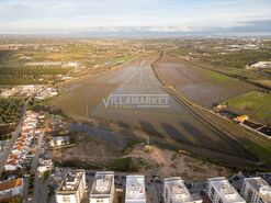 Terreno R�stico T0 - Lagoa, Lagoa (Algarve), Faro (Algarve) - Miniatura: 9/30