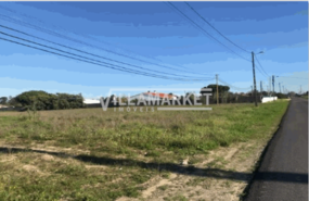 Terreno Rstico T0 - Salvaterra de Magos, Salvaterra de Magos, Santarm