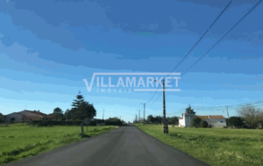 Terreno Rstico T0 - Salvaterra de Magos, Salvaterra de Magos, Santarm - Miniatura: 1/4