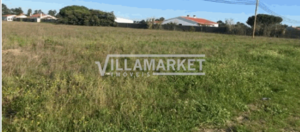 Terreno Rstico T0 - Salvaterra de Magos, Salvaterra de Magos, Santarm - Miniatura: 2/4