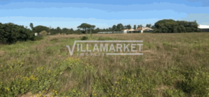 Terreno Rstico T0 - Salvaterra de Magos, Salvaterra de Magos, Santarm - Miniatura: 3/4