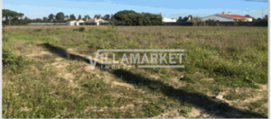 Terreno Rstico T0 - Salvaterra de Magos, Salvaterra de Magos, Santarm - Miniatura: 4/4