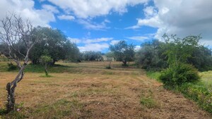 Ruina T0 - Quelfes, Olh�o, Faro (Algarve) - Miniatura: 22/26