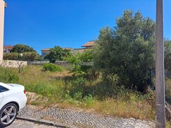 Terreno R�stico T0 - Fatima, Our�m, Santar�m - Miniatura: 6/11