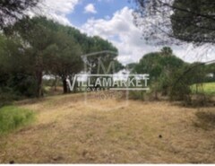 Terreno R�stico T0 - Santo Estev�o, Benavente, Santar�m - Miniatura: 3/6