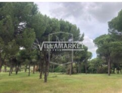 Terreno R�stico T0 - Santo Estev�o, Benavente, Santar�m - Miniatura: 4/6