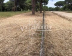 Terreno R�stico T0 - Santo Estev�o, Benavente, Santar�m - Miniatura: 5/6
