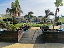 Apartamento T0 - Albufeira, Albufeira, Faro (Algarve) - Miniatura: 27/30
