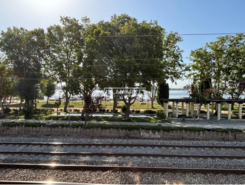 Prdio T0 - Vila Franca de Xira, Vila Franca de Xira, Lisboa - Miniatura: 18/18