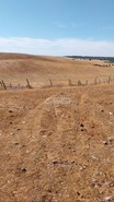 Terreno Rstico T0 - Aljustrel, Aljustrel, Beja - Miniatura: 2/15