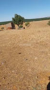 Terreno Rstico T0 - Aljustrel, Aljustrel, Beja - Miniatura: 3/15