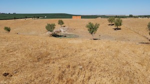 Terreno Rstico T0 - Aljustrel, Aljustrel, Beja - Miniatura: 9/15
