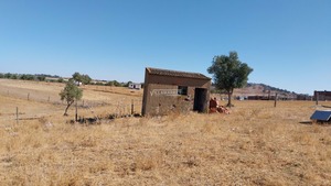 Terreno Rstico T0 - Aljustrel, Aljustrel, Beja - Miniatura: 10/15