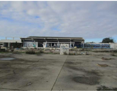 Terreno R�stico T0 - Afonsoeiro, Montijo, Set�bal - Miniatura: 7/7