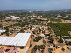 Quinta T3 - Moncarapacho, Olh�o, Faro (Algarve) - Miniatura: 1/21