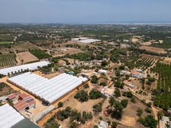 Quinta T3 - Moncarapacho, Olh�o, Faro (Algarve) - Miniatura: 3/21