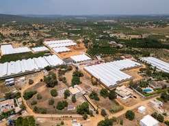 Quinta T3 - Moncarapacho, Olh�o, Faro (Algarve) - Miniatura: 7/21