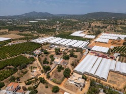 Quinta T3 - Moncarapacho, Olh�o, Faro (Algarve) - Miniatura: 9/21